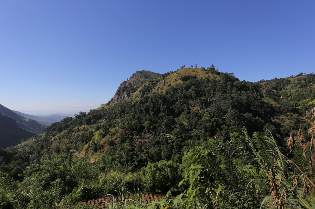 Lavendra Paradise เอลลา ภายนอก รูปภาพ